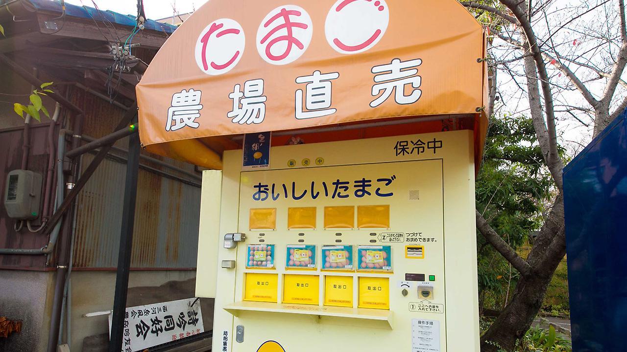 Matsukaze Hotel Toyota  Exterior foto